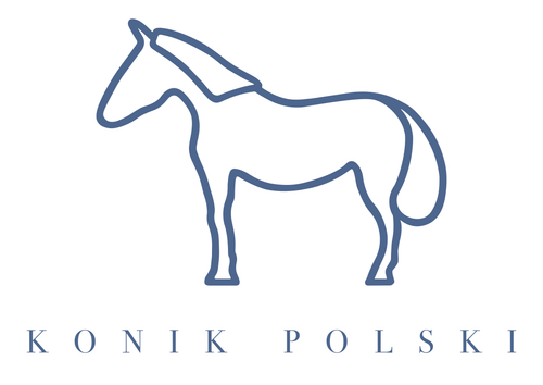 Konik Polski